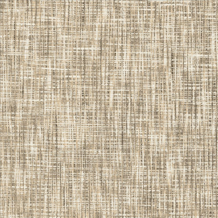 Katniss Pearl by Kasmir Fabric 1461 86% Polyester
14% Rayon
 INDIA </p><p>Repeat: Horizontal: N/A and Vertical: N/A 57 - Fabric Carolina -