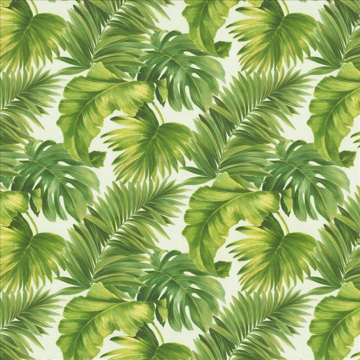 Keanu Palm 110 Green by Kasmir Fabric 1453 65% Polyester
35% Cotton
 SPAIN 40,000 Martindale Cycles Horizontal: 27 5/8 inches and Vertical: 24 4/8 inches 110 - Fabric Carolina -