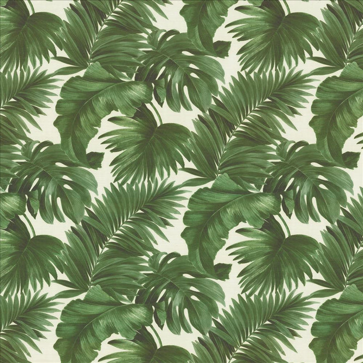 Keanu Palm 110 Moss by Kasmir Fabric 1453 65% Polyester
35% Cotton
 SPAIN 40,000 Martindale Cycles </p><p>Repeat: Horizontal: 27 5/8 inches and Vertical: 24 4/8 inches 110 - Fabric Carolina -