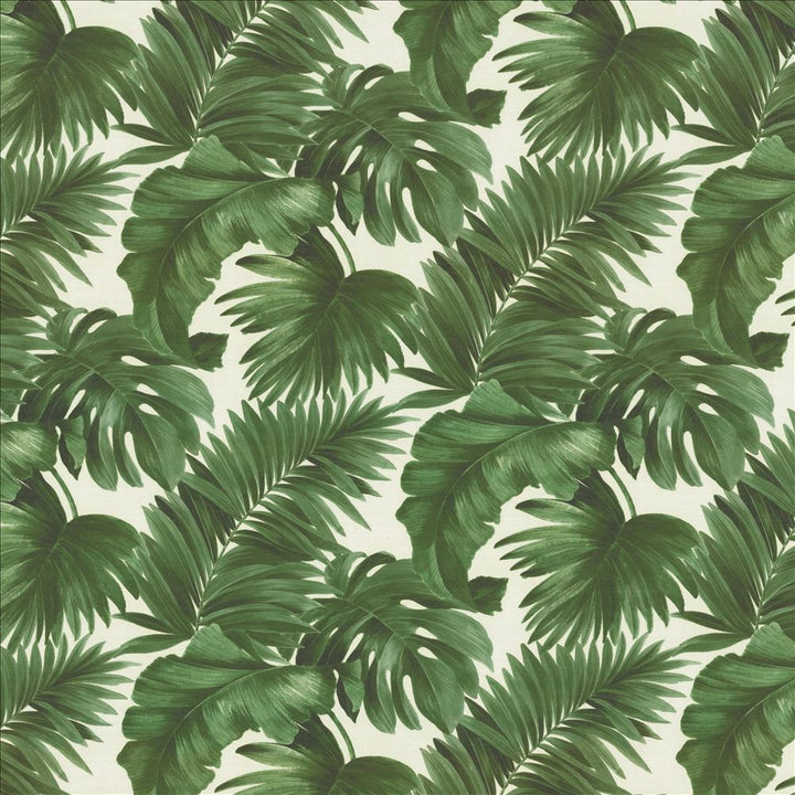 Keanu Palm 110 Moss  by Kasmir Fabric See sample 65% Polyester
35% Cotton
 SPAIN 40,000 Martindale Cycles </p><p>Repeat: Horizontal: 27 5/8 inches and Vertical: 24 4/8 inches 110  - Fabric Carolina -