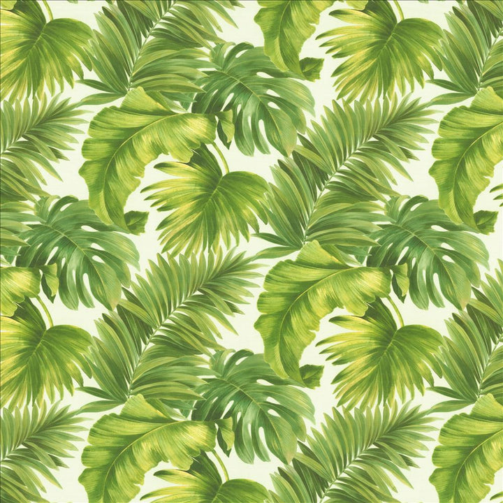 Keanu Palm 55 Green by Kasmir Fabric 1453 65% Polyester
35% Cotton
 SPAIN </p><p>Repeat: Horizontal: 27 5/8 inches and Vertical: 24 4/8 inches 55 - Fabric Carolina -