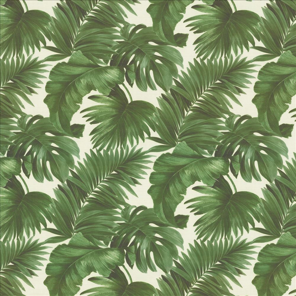 Keanu Palm 55 Moss by Kasmir Fabric 1453 65% Polyester
35% Cotton
 SPAIN </p><p>Repeat: Horizontal: 27 5/8 inches and Vertical: 24 4/8 inches 55 - Fabric Carolina -