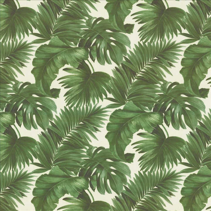 Keanu Palm 55 Moss by Kasmir Fabric 1453 65% Polyester
35% Cotton
 SPAIN </p><p>Repeat: Horizontal: 27 5/8 inches and Vertical: 24 4/8 inches 55 - Fabric Carolina -
