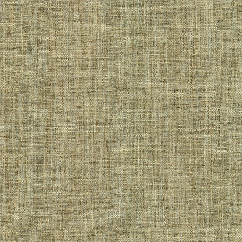 Keanu Thicket by Kasmir Fabric 1461 100% Polyester
 INDIA 100,000 Wyzenbeek Double Rubs Horizontal: N/A and Vertical: N/A 56 - Fabric Carolina -