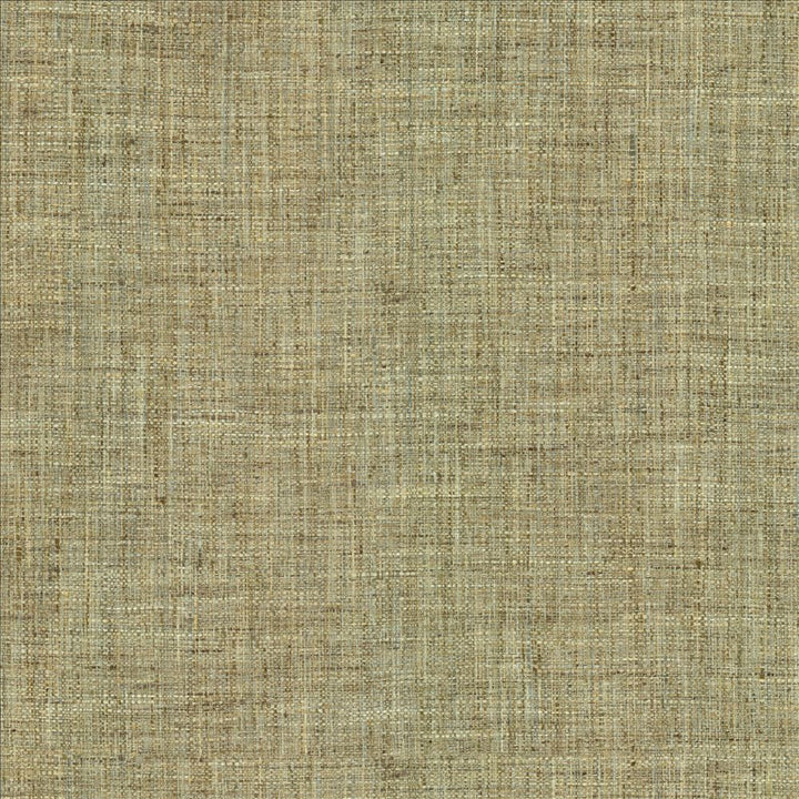 Keanu Thicket by Kasmir Fabric 1461 100% Polyester
 INDIA 100,000 Wyzenbeek Double Rubs Horizontal: N/A and Vertical: N/A 56 - Fabric Carolina -