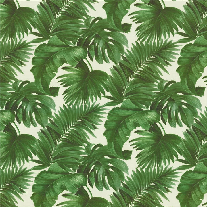 Keanu Palm 110 Moss by Kasmir Fabric 1453 65% Polyester
35% Cotton
 SPAIN </p><p>Repeat: Horizontal: 27 5/8 inches and Vertical: 24 4/8 inches 110 - Fabric Carolina -