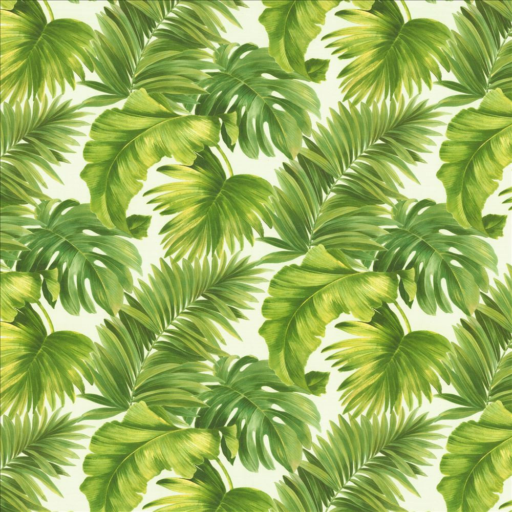 Keanu Palm 55 Green by Kasmir Fabric 1453 65% Polyester
35% Cotton
 SPAIN </p><p>Repeat: Horizontal: 27 5/8 inches and Vertical: 24 4/8 inches 55 - Fabric Carolina -