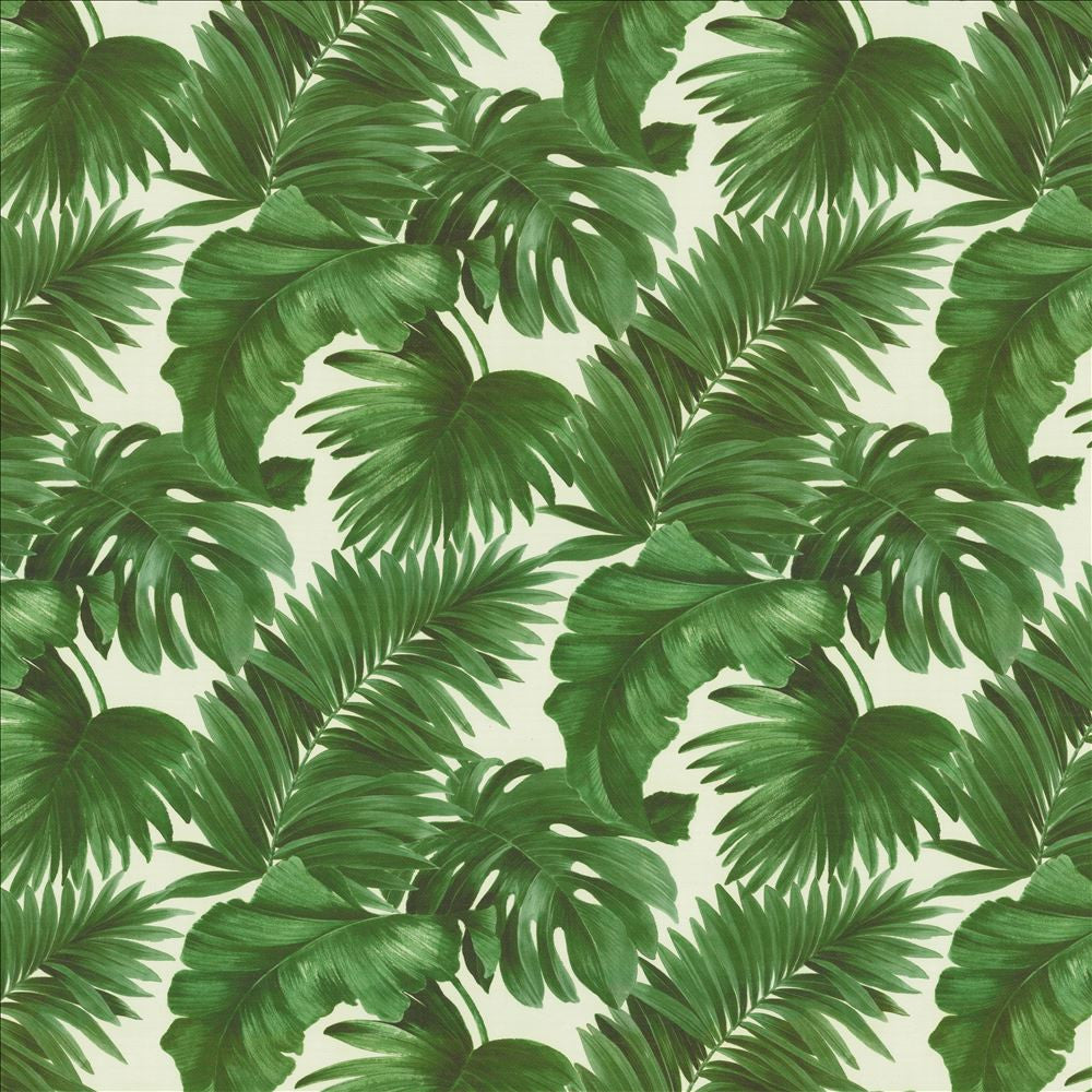 Keanu Palm 55 Moss by Kasmir Fabric 1453 65% Polyester
35% Cotton
 SPAIN </p><p>Repeat: Horizontal: 27 5/8 inches and Vertical: 24 4/8 inches 55 - Fabric Carolina -