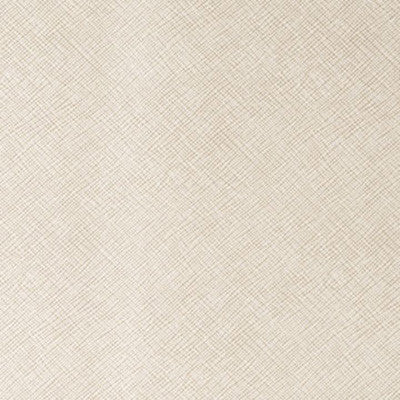 Kediri Limestone by Kravet Design Fabric