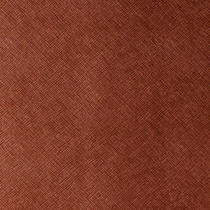 Kediri Cinnamon by Kravet Design Fabric