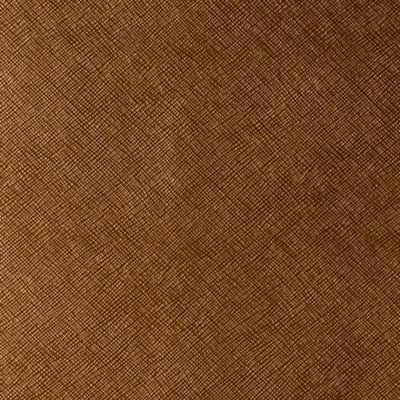 Kediri Lucky Penny by Kravet Design Fabric
