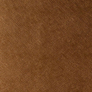 Kediri Lucky Penny by Kravet Design Fabric