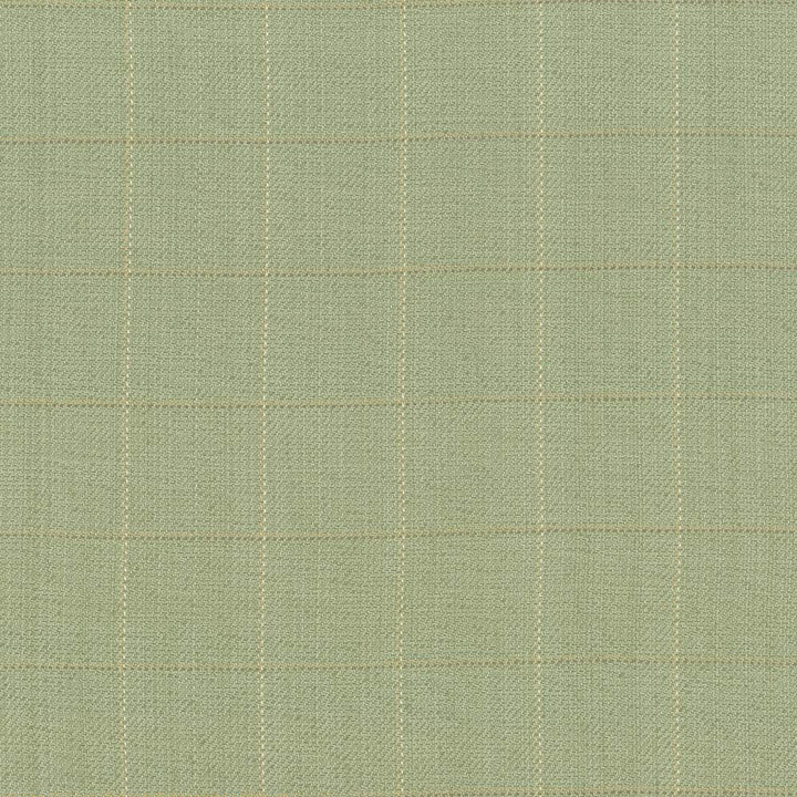 Keheley Thyme by Kasmir Fabric 1442 100% Cotton
 INDIA </p><p>Repeat: Horizontal: 3 inches and Vertical: 3 inches 53 - 54 - Fabric Carolina -