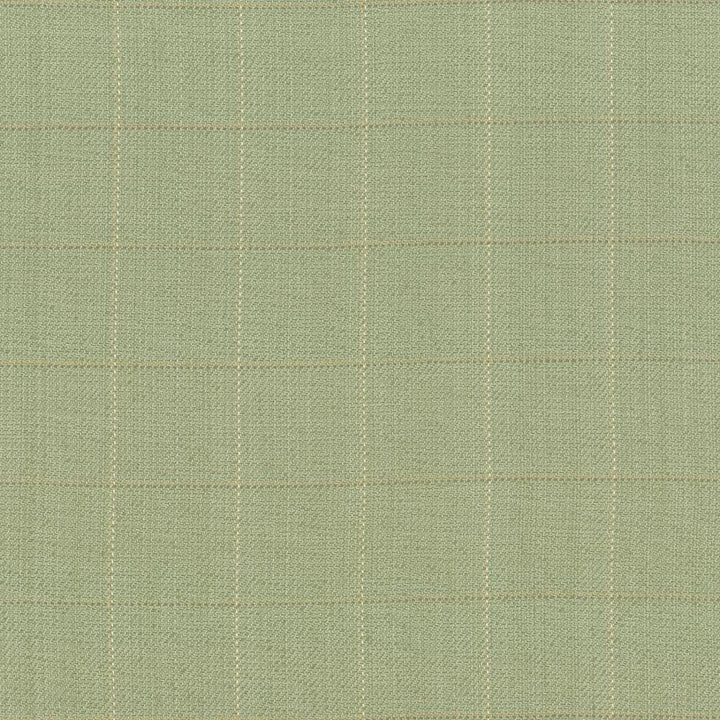 Keheley Thyme by Kasmir Fabric 1442 100% Cotton
 INDIA </p><p>Repeat: Horizontal: 3 inches and Vertical: 3 inches 53 - 54 - Fabric Carolina -