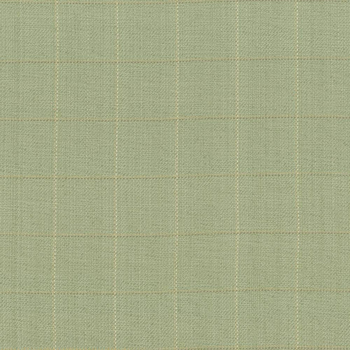 Keheley Thyme by Kasmir Fabric 1442 INDIA 12,000 Wyzenbeek Double Rubs H: 3 inches, V:3 inches 53 - 54 - Fabric Carolina - Kasmir
