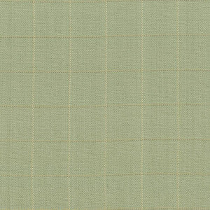 Keheley Thyme by Kasmir Fabric