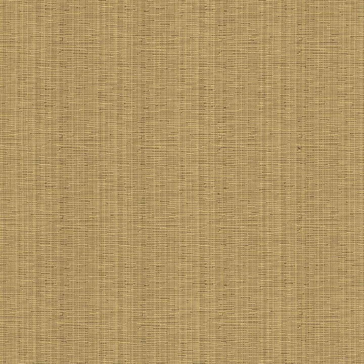 Kensli Nugget by Kasmir Fabric 5093 INDIA 30,000 Martindale Cycles H: N/A, V:N/A 54 - Fabric Carolina - Kasmir
