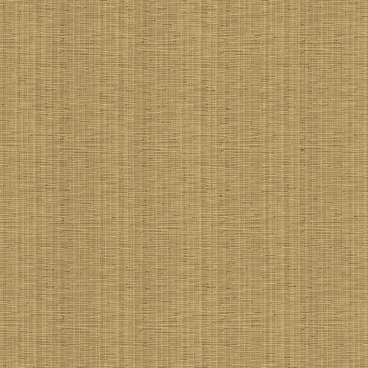 Kensli Nugget by Kasmir Fabric 5093 56% Cotton
44% Polyester
 INDIA </p><p>Repeat: Horizontal: N/A and Vertical: N/A 54 - Fabric Carolina -