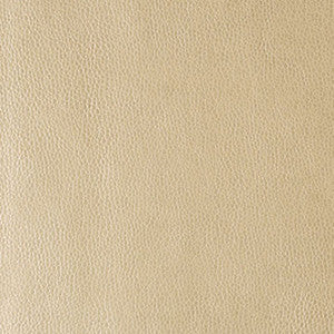 Kerinci Gold Dust by Kravet Design Fabric