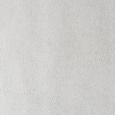 Kerinci Ice Ice Baby by Kravet Design Fabric