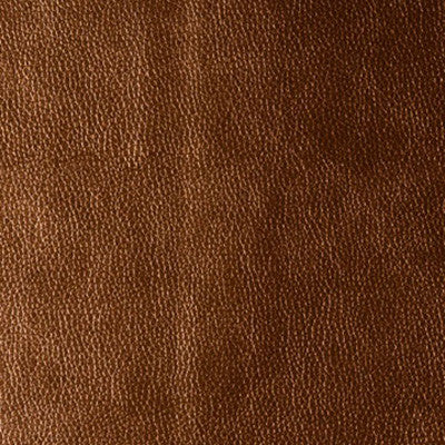 Kerinci Lucky Penny by Kravet Design Fabric