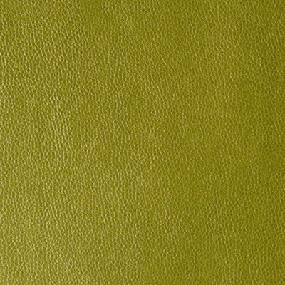 Kerinci Wasabi by Kravet Design Fabric