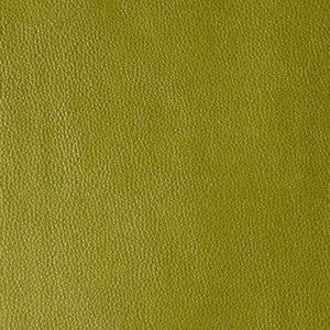 Kerinci Wasabi by Kravet Design Fabric