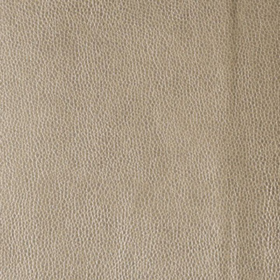 Kerinci Mica by Kravet Design Fabric