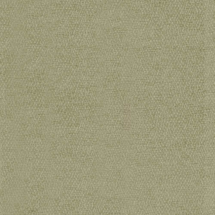 Kibatu Sage by Kasmir Fabric 5099 53% Acrylic
47% Polyester
 TURKEY </p><p>Repeat: Horizontal: N/A and Vertical: N/A 55 - 58 - Fabric Carolina -