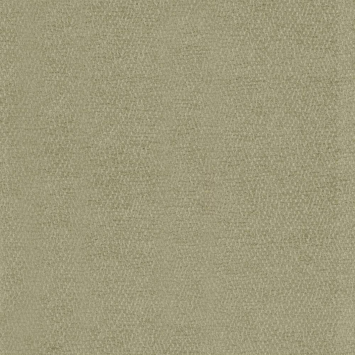 Kibatu Sage by Kasmir Fabric 5099 TURKEY 8,000 Martindale Cycles H: N/A, V:N/A 55 - 58 - Fabric Carolina - Kasmir
