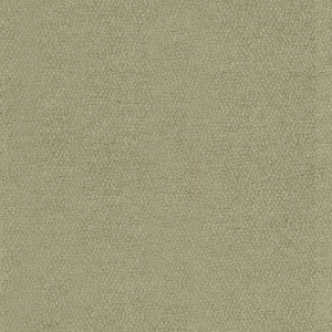 Kibatu Sage by Kasmir Fabric