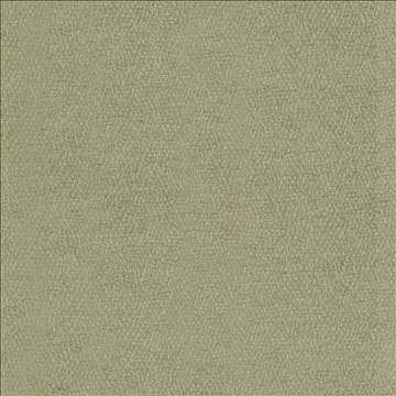 Kibatu Sage by Kasmir Fabric 5099 53% Acrylic 47% Polyester TURKEY 8,000 Martindale Cycles H: N/A, V: N/A 55 - 58 - Fabric Carolina - Kasmir