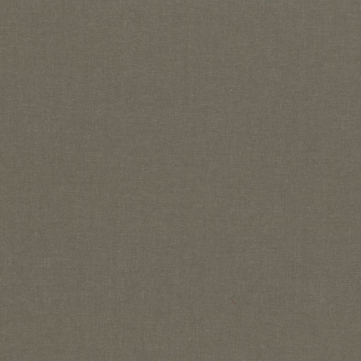 Kilbarry Coffee by Kasmir Fabric 1431 100% Polyester
 INDIA </p><p>Repeat: Horizontal: N/A and Vertical: N/A 56 - Fabric Carolina -