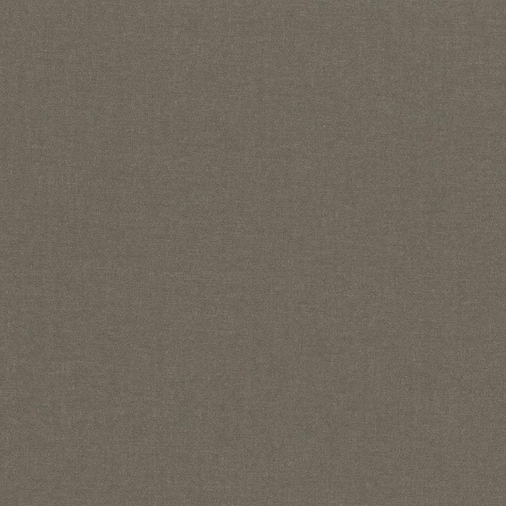 Kilbarry Coffee by Kasmir Fabric 1429 100% Polyester
 INDIA 40,000 Martindale Cycles </p><p>Repeat: Horizontal: N/A and Vertical: N/A 56 - Fabric Carolina -