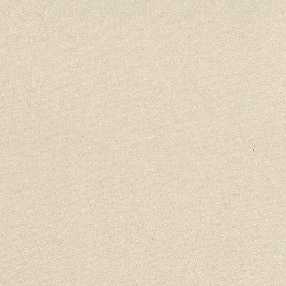Kilbarry Cream by Kasmir Fabric 1431 INDIA 40,000 Martindale Cycles H: N/A, V:N/A 56 - Fabric Carolina - Kasmir