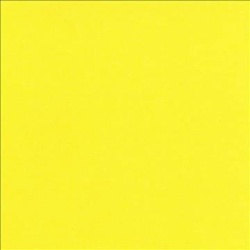 Kilbarry Daffodil by Kasmir Fabric 1431 100% Polyester INDIA 40,000 Martindale Cycles H: N/A, V: N/A 56 - Fabric Carolina - Kasmir