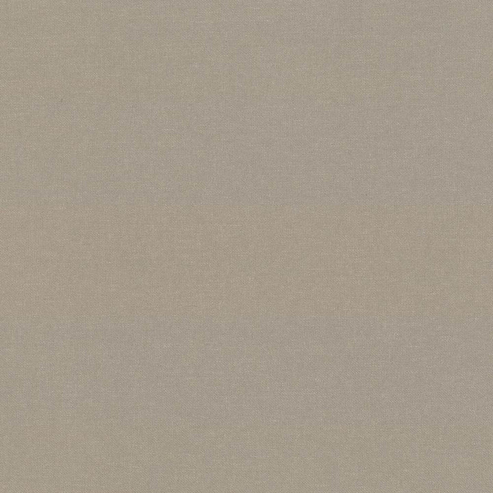 Kilbarry Linen by Kasmir Fabric 1431 100% Polyester
 INDIA </p><p>Repeat: Horizontal: N/A and Vertical: N/A 56 - Fabric Carolina -
