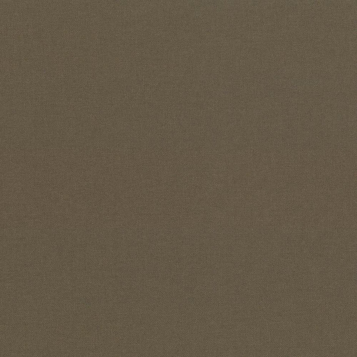 Kilbarry Otter by Kasmir Fabric 1431 100% Polyester
 INDIA </p><p>Repeat: Horizontal: N/A and Vertical: N/A 56 - Fabric Carolina -