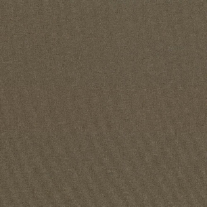 Kilbarry Otter by Kasmir Fabric 1431 100% Polyester
 INDIA 40,000 Martindale Cycles Horizontal: N/A and Vertical: N/A 56 - Fabric Carolina -