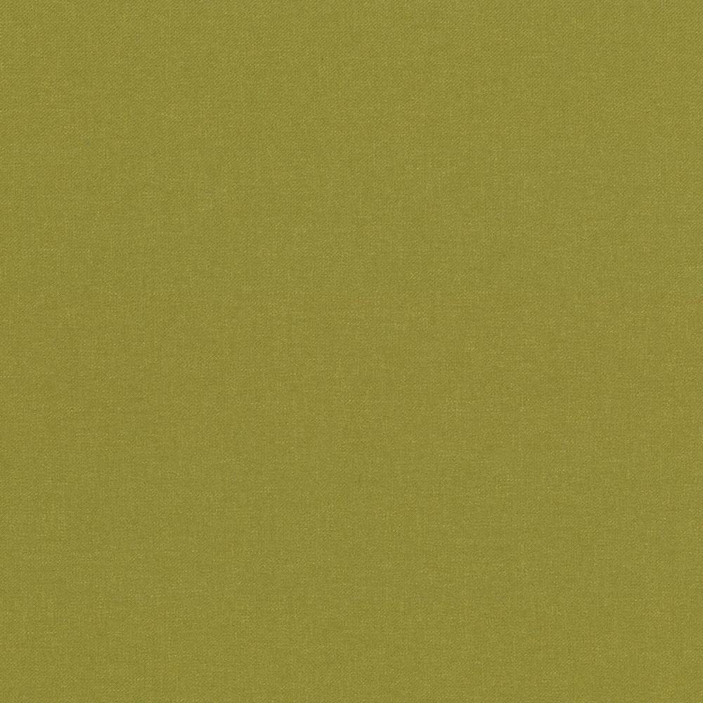 Kilbarry Pistachio by Kasmir Fabric 1431 100% Polyester
 INDIA </p><p>Repeat: Horizontal: N/A and Vertical: N/A 56 - Fabric Carolina -