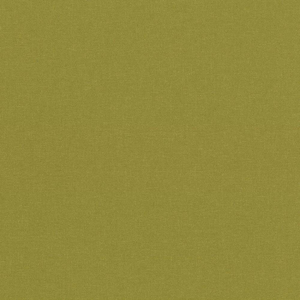 Kilbarry Pistachio by Kasmir Fabric 1429 INDIA 40,000 Martindale Cycles H: N/A, V:N/A 56 - Fabric Carolina - Kasmir
