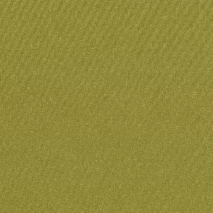 Kilbarry Pistachio by Kasmir Fabric 1429 100% Polyester
 INDIA </p><p>Repeat: Horizontal: N/A and Vertical: N/A 56 - Fabric Carolina -
