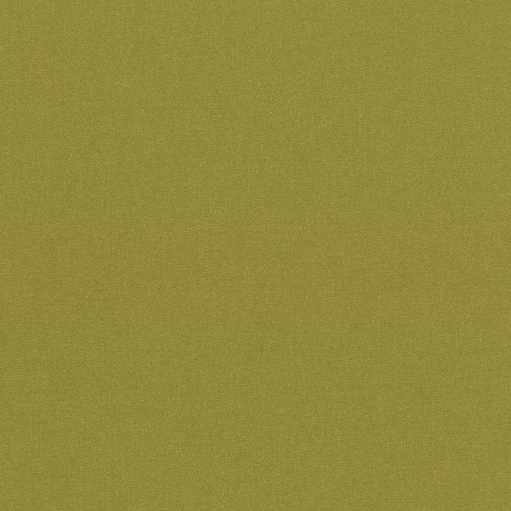 Kilbarry Pistachio by Kasmir Fabric 1431 INDIA 40,000 Martindale Cycles H: N/A, V:N/A 56 - Fabric Carolina - Kasmir