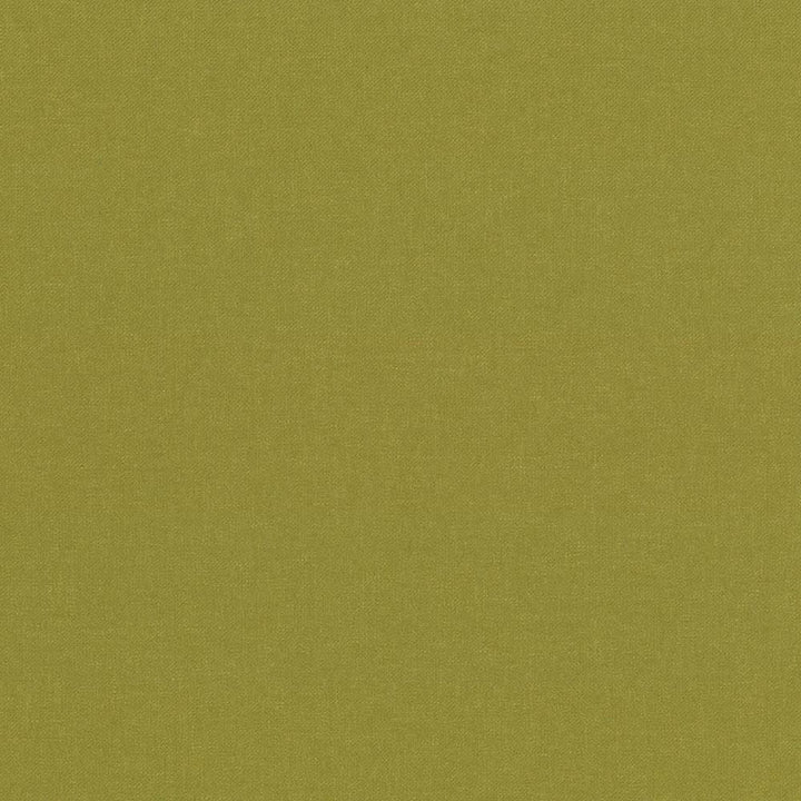 Kilbarry Pistachio by Kasmir Fabric 1431 100% Polyester
 INDIA </p><p>Repeat: Horizontal: N/A and Vertical: N/A 56 - Fabric Carolina -