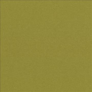Kilbarry Pistachio by Kasmir Fabric 1431 100% Polyester INDIA 40,000 Martindale Cycles H: N/A, V: N/A 56 - Fabric Carolina - Kasmir