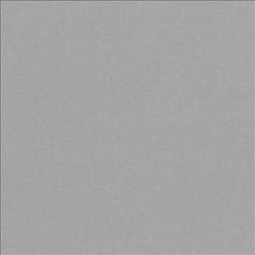 Kilbarry Silver by Kasmir Fabric 1431 100% Polyester INDIA 40,000 Martindale Cycles H: N/A, V: N/A 56 - Fabric Carolina - Kasmir