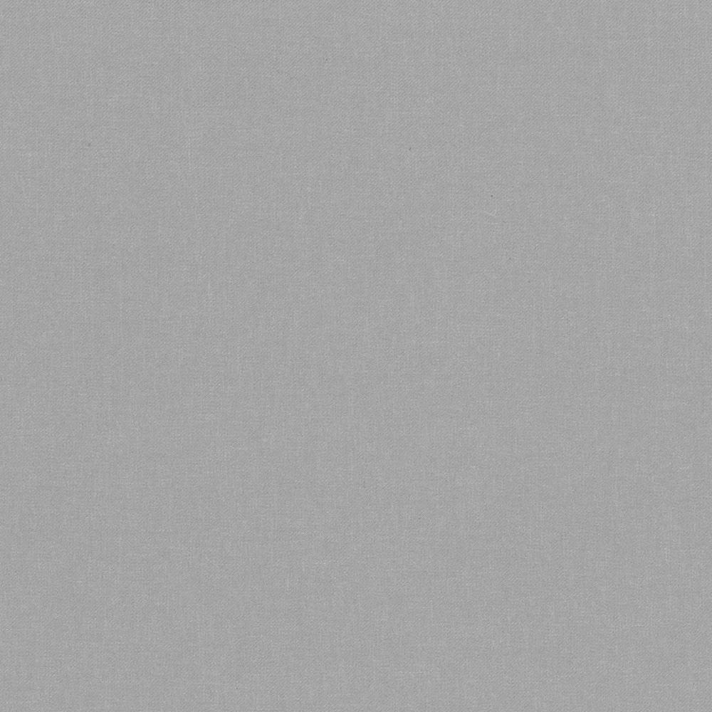 Kilbarry Silver by Kasmir Fabric 1429 100% Polyester
 INDIA </p><p>Repeat: Horizontal: N/A and Vertical: N/A 56 - Fabric Carolina -