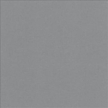 Kilbarry Smoke by Kasmir Fabric 1431 100% Polyester INDIA 40,000 Martindale Cycles H: N/A, V: N/A 56 - Fabric Carolina - Kasmir