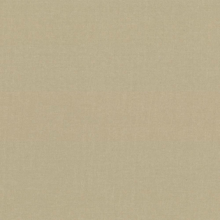 Kilbarry Stone by Kasmir Fabric 1431 100% Polyester
 INDIA </p><p>Repeat: Horizontal: N/A and Vertical: N/A 56 - Fabric Carolina -