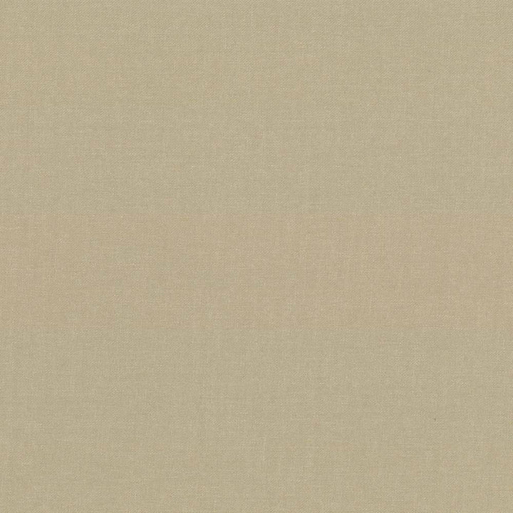 Kilbarry Stone by Kasmir Fabric 1429 INDIA 40,000 Martindale Cycles H: N/A, V:N/A 56 - Fabric Carolina - Kasmir